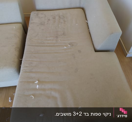 ספה עם כתמים ונוצות על המושב